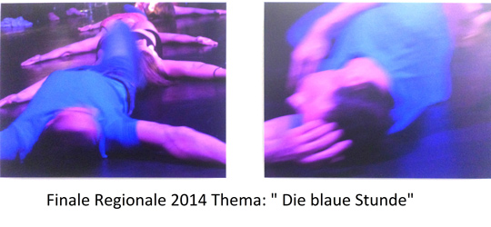 Ausstellung „Finale Regionale 2014“